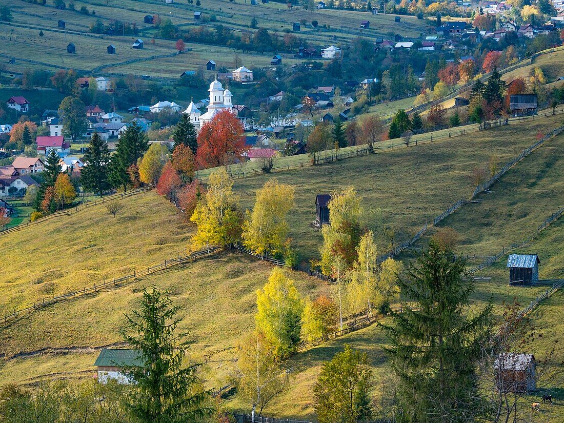 Buchovina Romania Scenic Landscape.