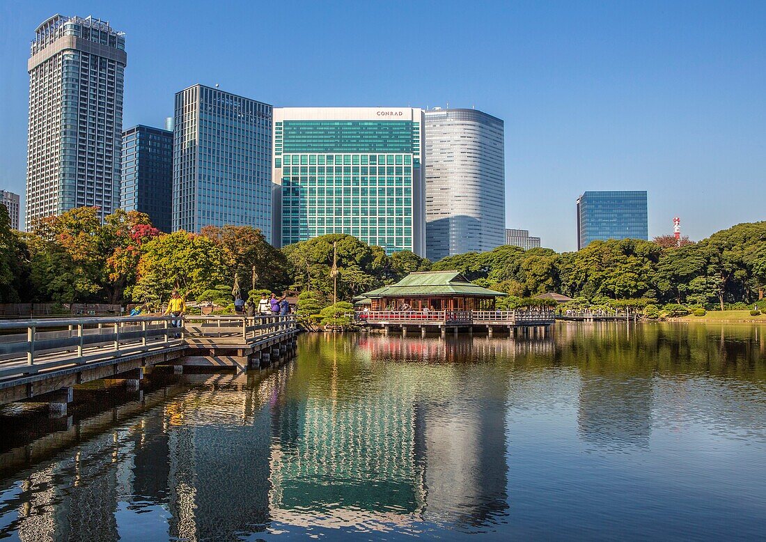Japan, Tokyo City, Hama Rykiu Garden, Shimbashi Skyline.
