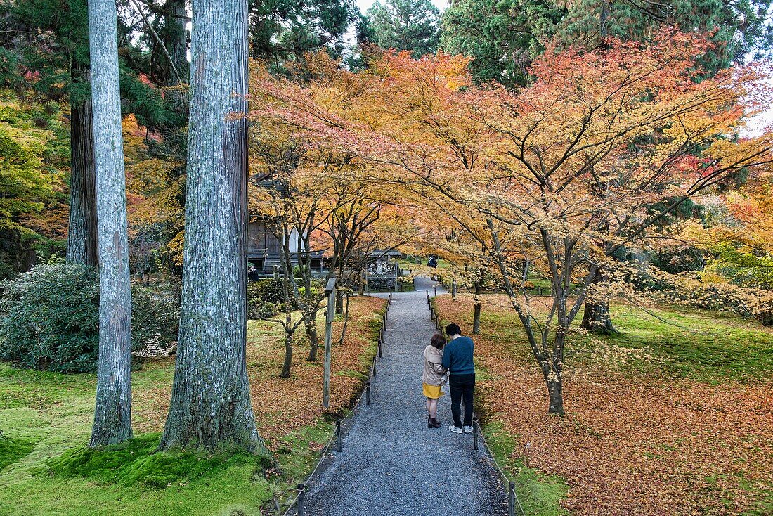 Autumn leaves at Sanzen-in temple, O'hara, Kyoto Prefecture, Japan.