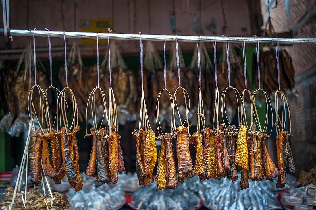 Smoked fish, Phokhoun, Laos.