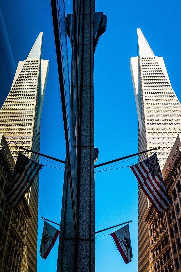San Francisco, California, USA. The Transamerica Pyramid Building reflexed with American and Californian flags.
