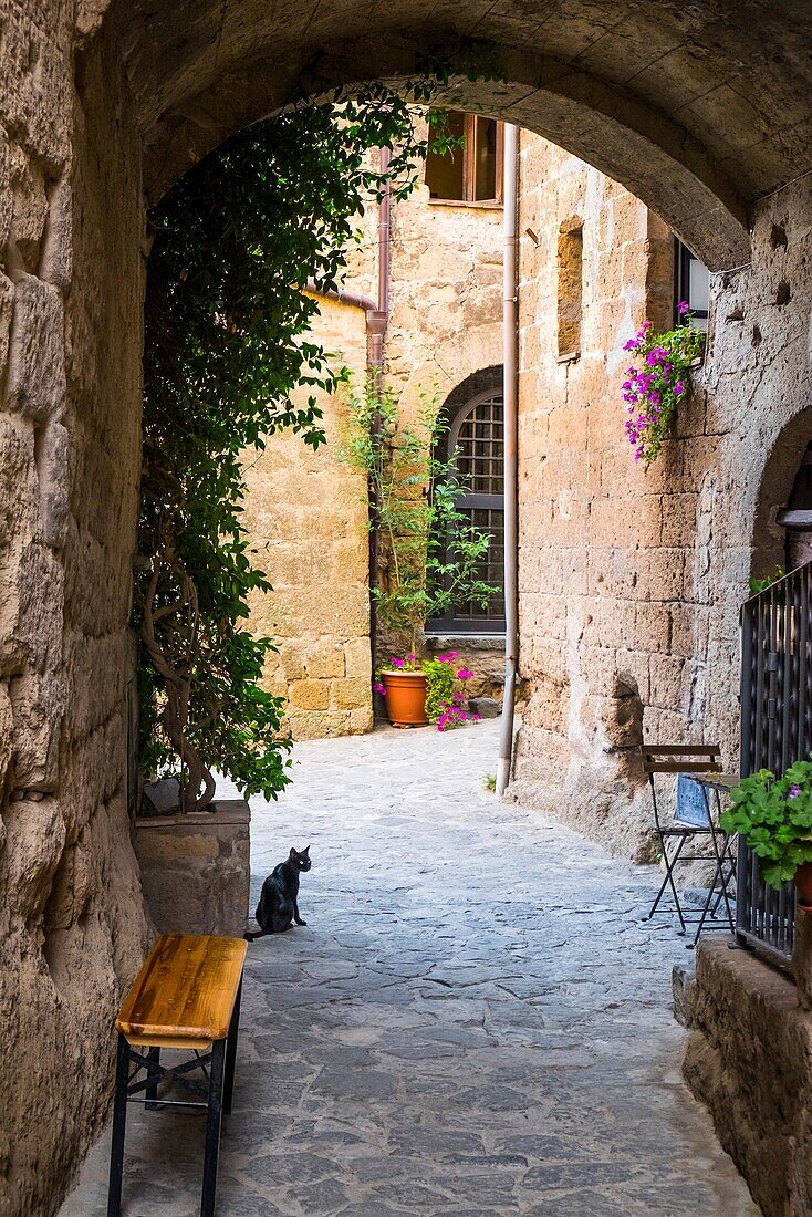 Civita di Bagnoregio, Viterbo, Lazio, Italy, Europe. A typical alley.