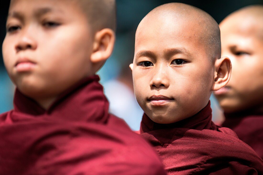 Mahagandayon Monastery, Amarapura, Myanmar, South East Asia. Detail of young monk in a row for the ritual of lunch.