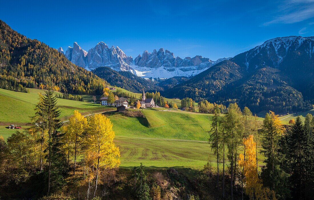 Santa Maddalena, Funes Valley, Trentino Alto Adige, Italy.