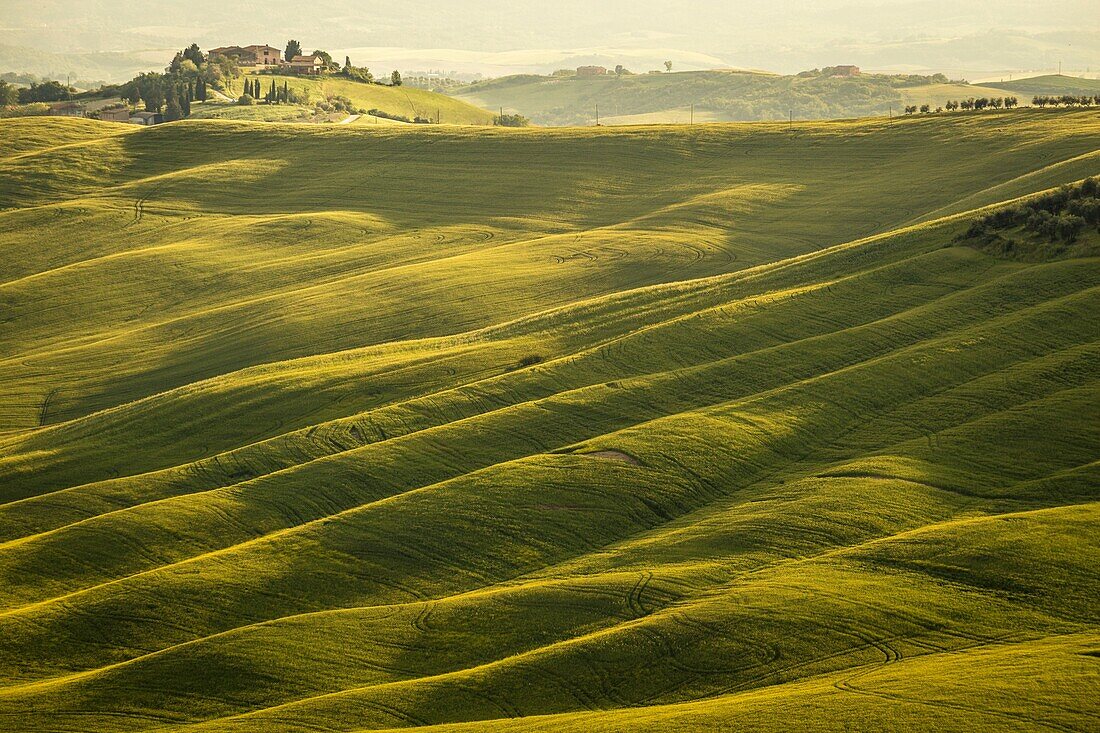 Crete senesi, Asciano, Tuscany, Italy.