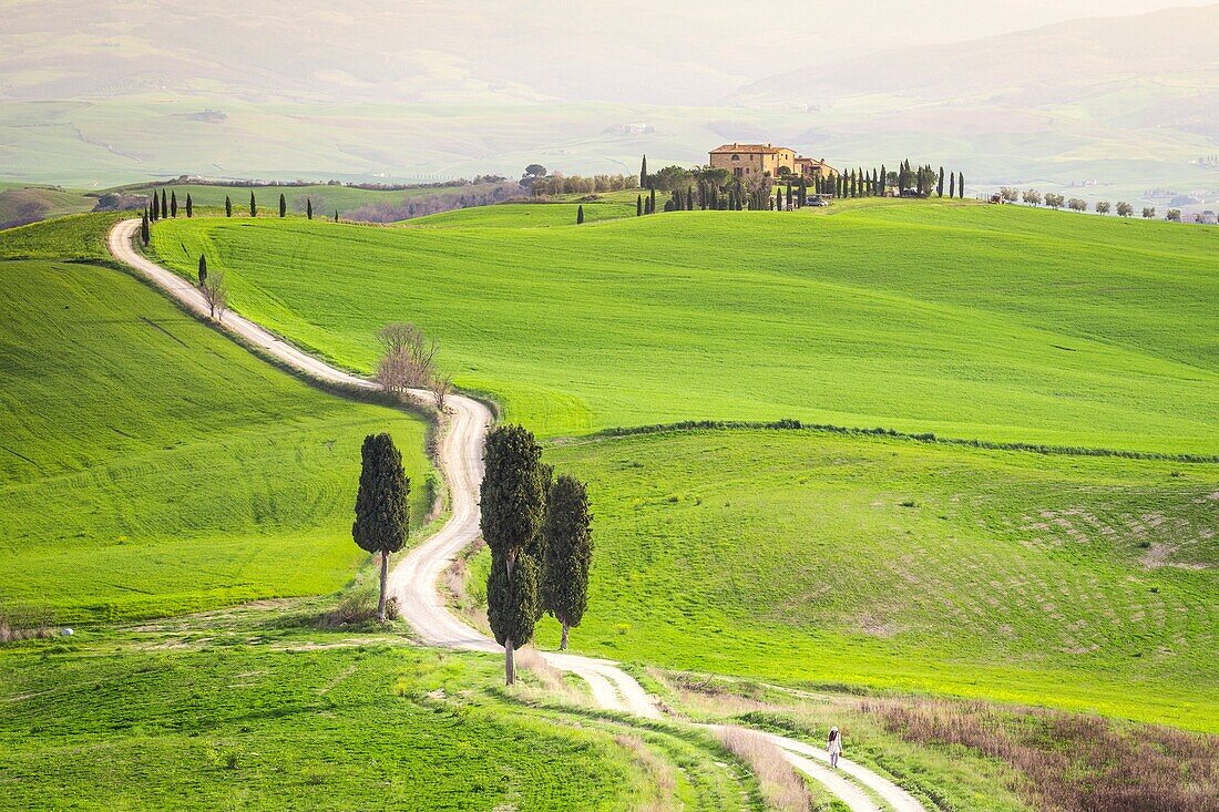 Podere Terrapille, Pienza, Val d'Orcia, Tuscany, Italy.