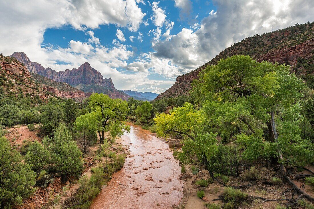 Virgin River after a sudden flash flood. Zion National Park, Hurricane, Washington County, Utah, USA.