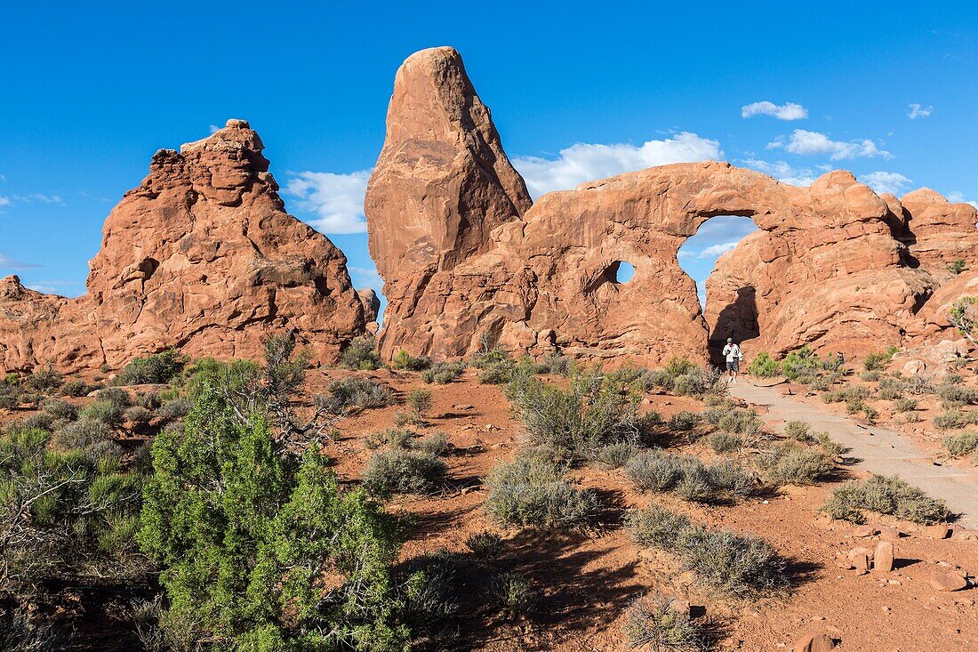 AMan on the path to Turret Archrches National Park, Moab, Grand County, Utah, USA.