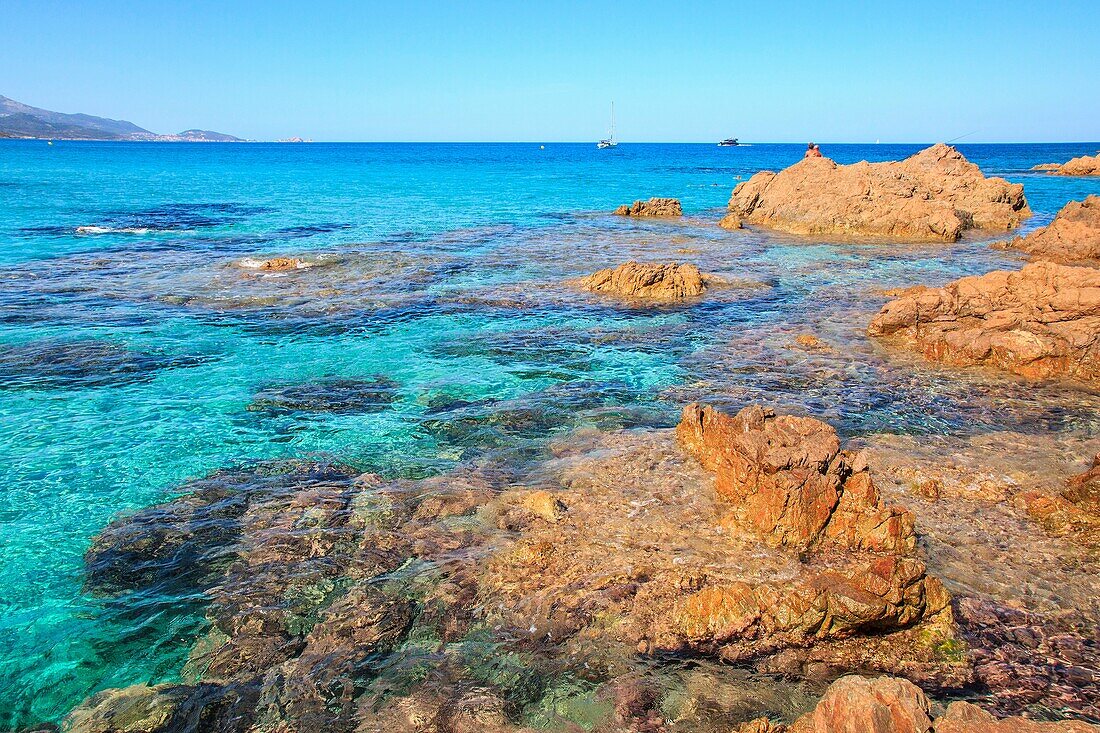 Corse, the sea at Ostriconi beach, Balagne, France.