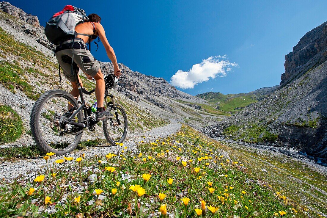 A biker in the wild Valle della Forcola in Alta Valtellina bloming with flowers, Italy.