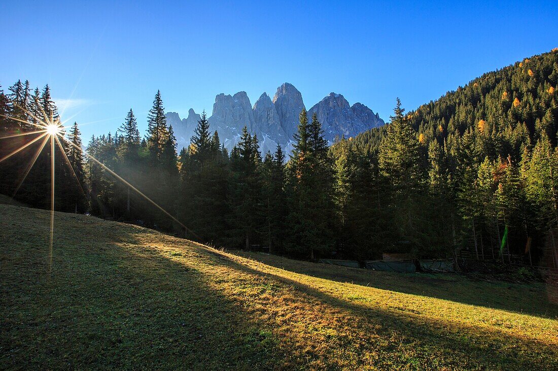 Green meadows and colorful woods in autumn frame the Odle. Malga Zannes. Funes Valley South Tyrol Dolomites Italy Europe.