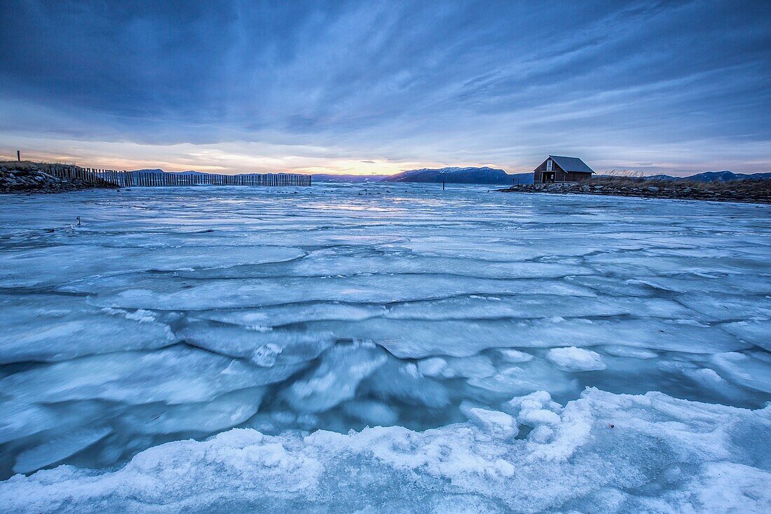 The icy sea Kystensarv Trøndelag Norway Europe.