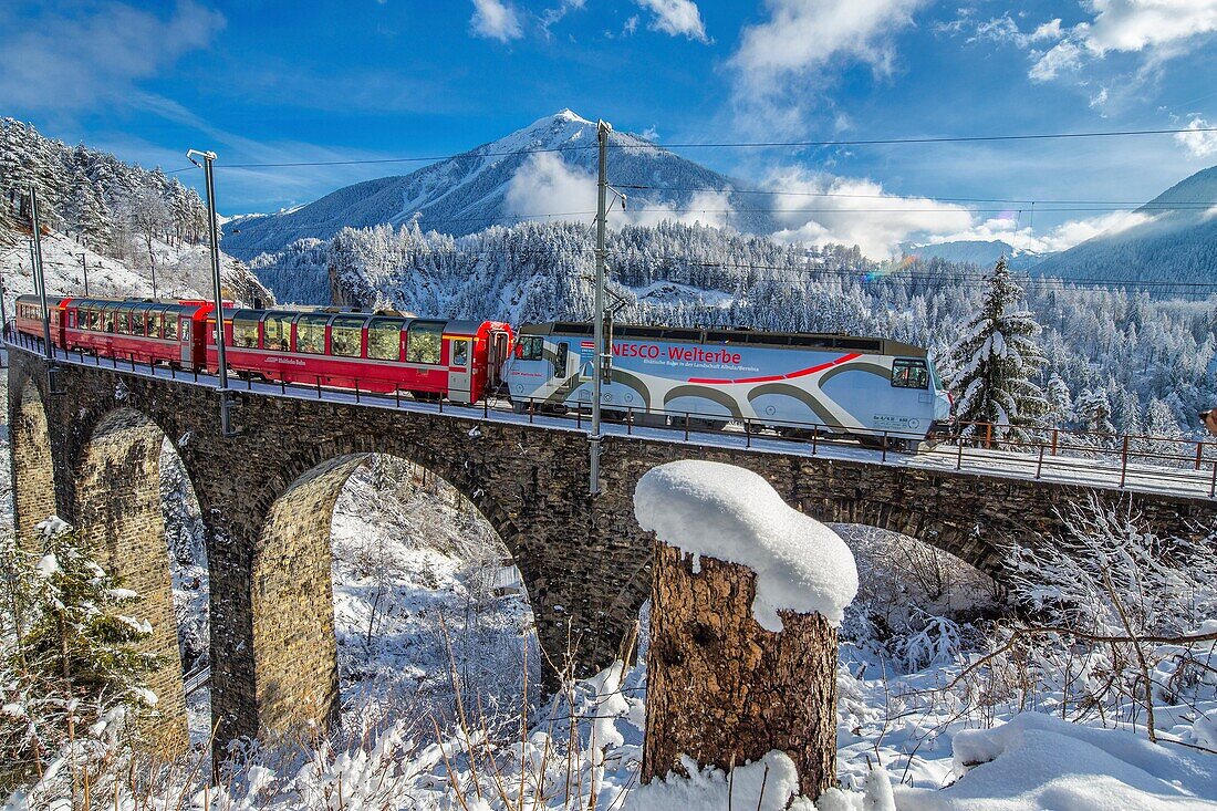 Bernina Express passes through the snowy woods Filisur Canton of Grisons Switzerland Europe.