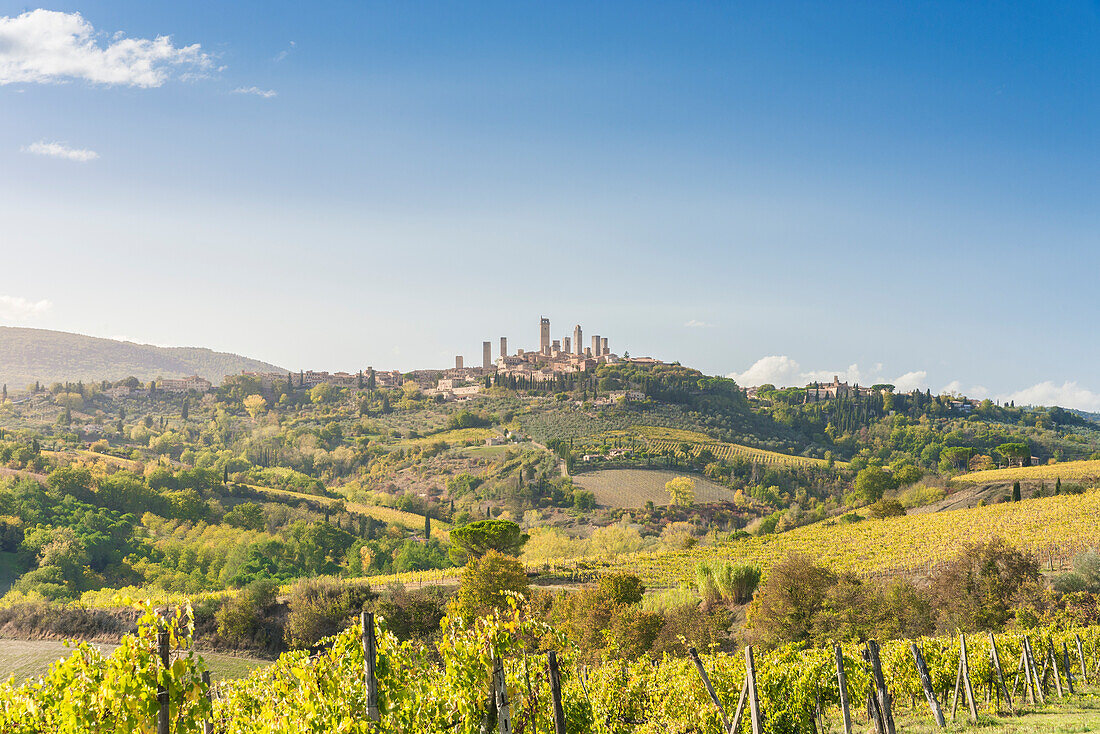 Historic centre of San Gimignano from vineyards in autumn. San Gimignano, Siena province, Tuscany, Italy, Europe