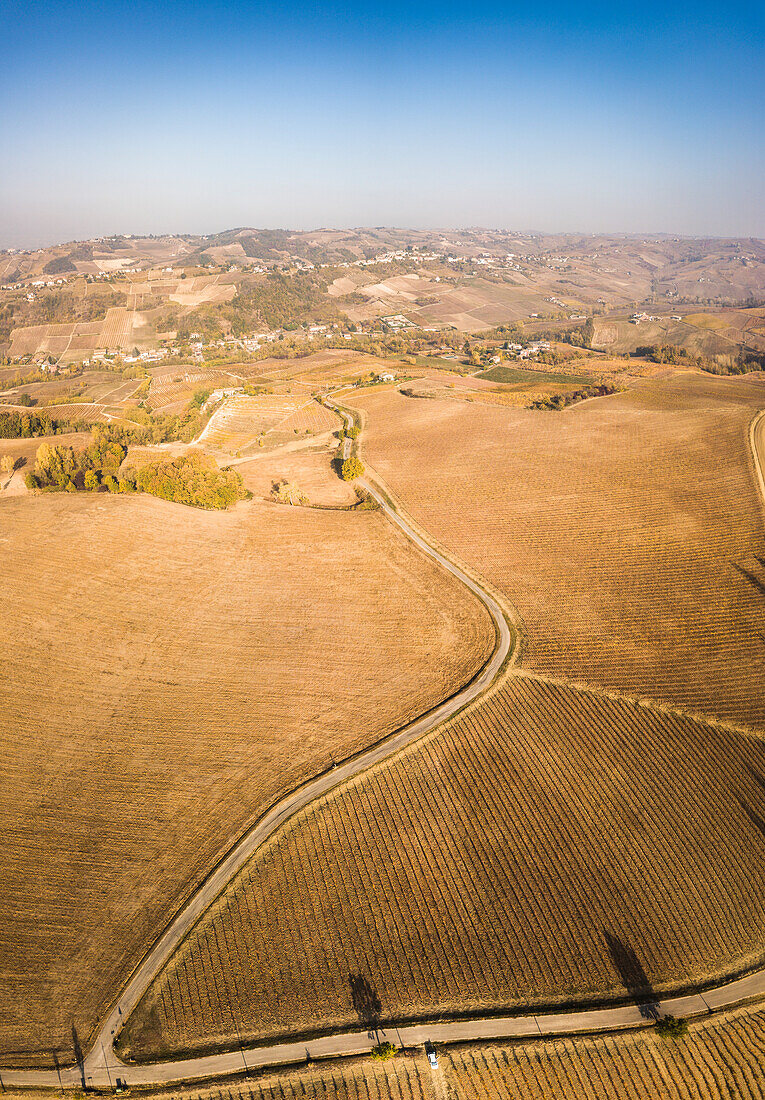 Oltrepo Pavese, Province of Pavia, Lombardy, Italy.