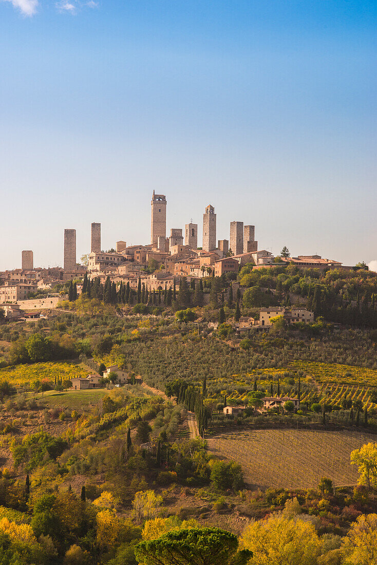 Historic centre of San Gimignano from vineyards in autumn. San Gimignano, Siena province, Tuscany, Italy, Europe