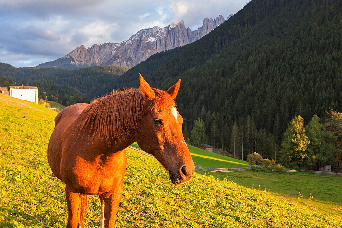 Nova Levante/Welschnofen, Bolzano province,South Tyrol,Italy