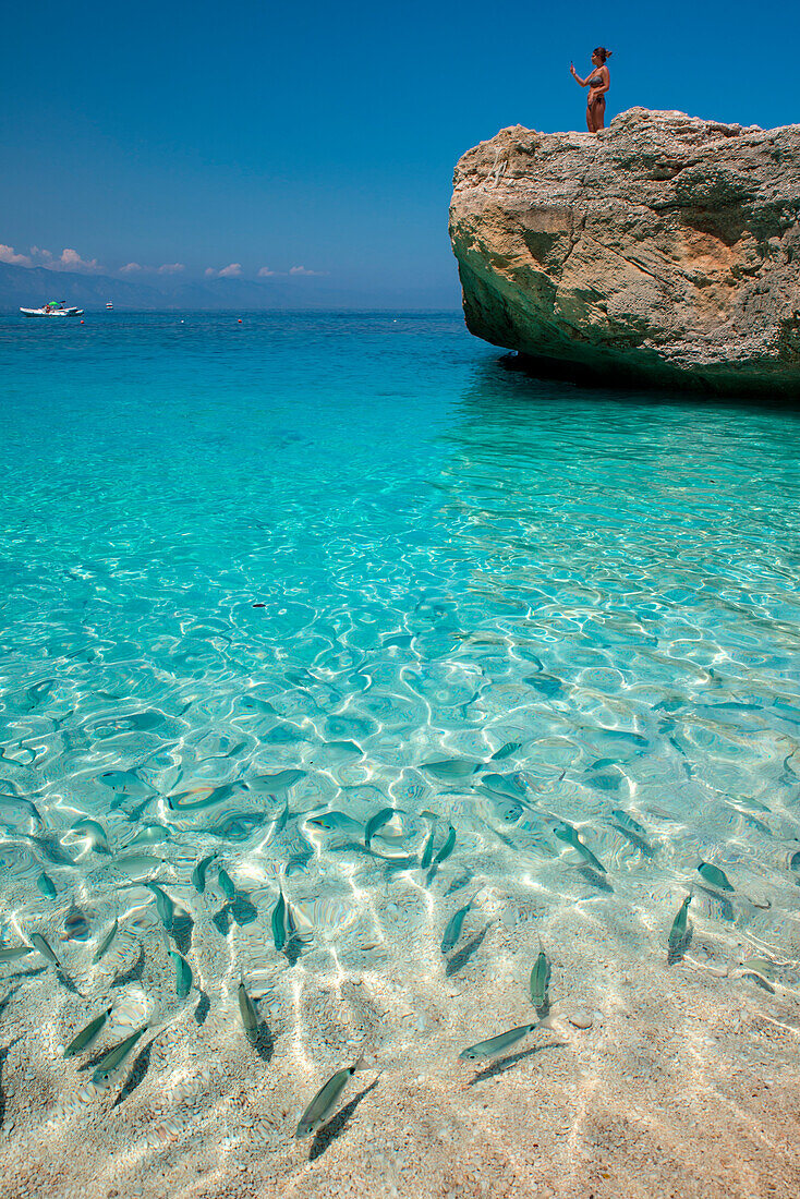 Crystalline water and fish in Cala Mariolu beach, Baunei, Ogliastra province, Sardinia, Italy, Europe.
