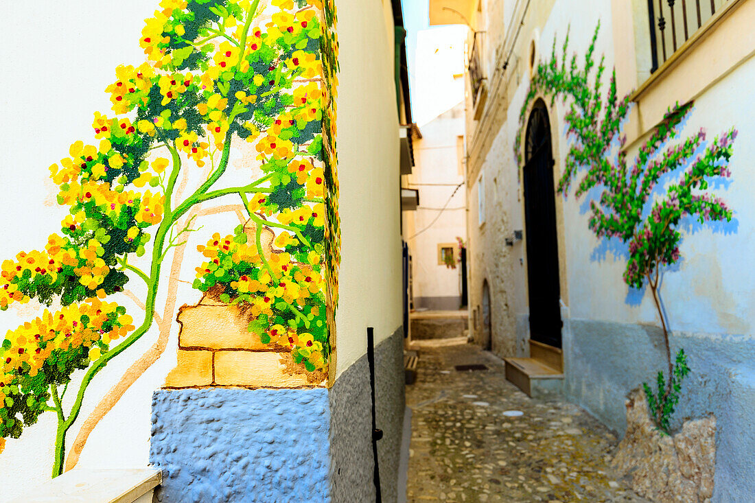 Flowers painted on the old houses of Rodi Garganico, Apulia(Puglia), Italy