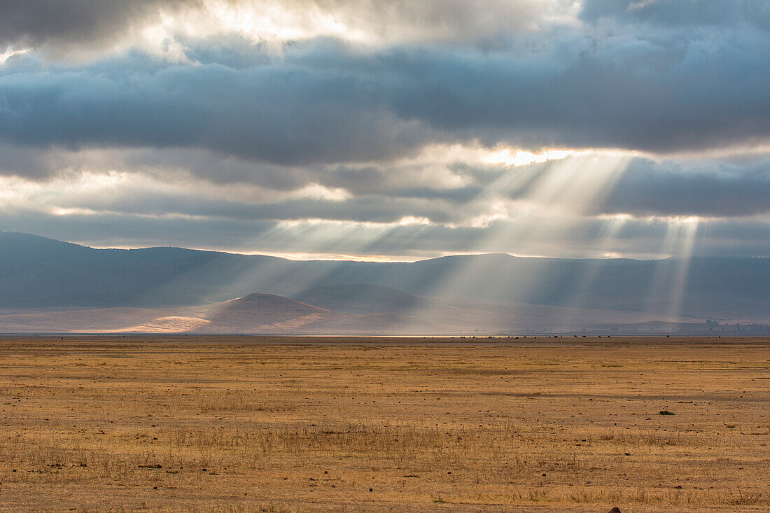 Tanzania, Africa,Ngorongoro Conservation Area,sunshine in the clouds