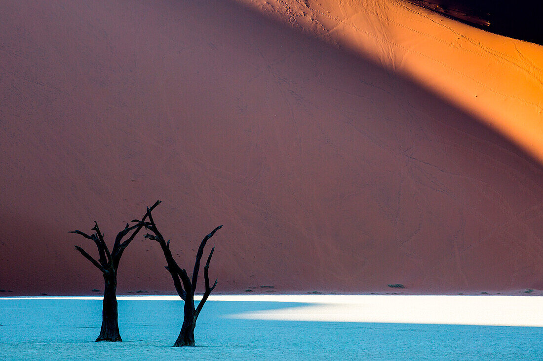 Dead Vlei, dead Acacia trees in the Namib desert at sunrise, Namibia. Africa