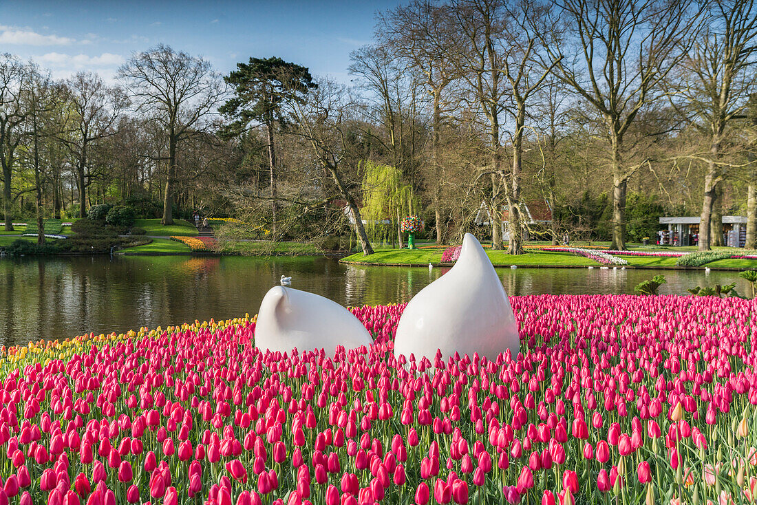 Bulblike sculpture and pink tulips at Keukenhof Gardens. Lisse, South Holland province, Netherlands.