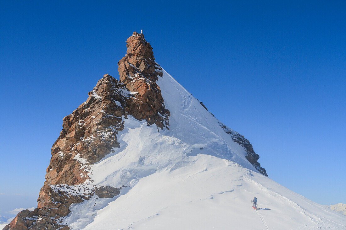 Ski mountaneer to the summit of Corno Nero peak, Rosa group, Aosta valley, Italy