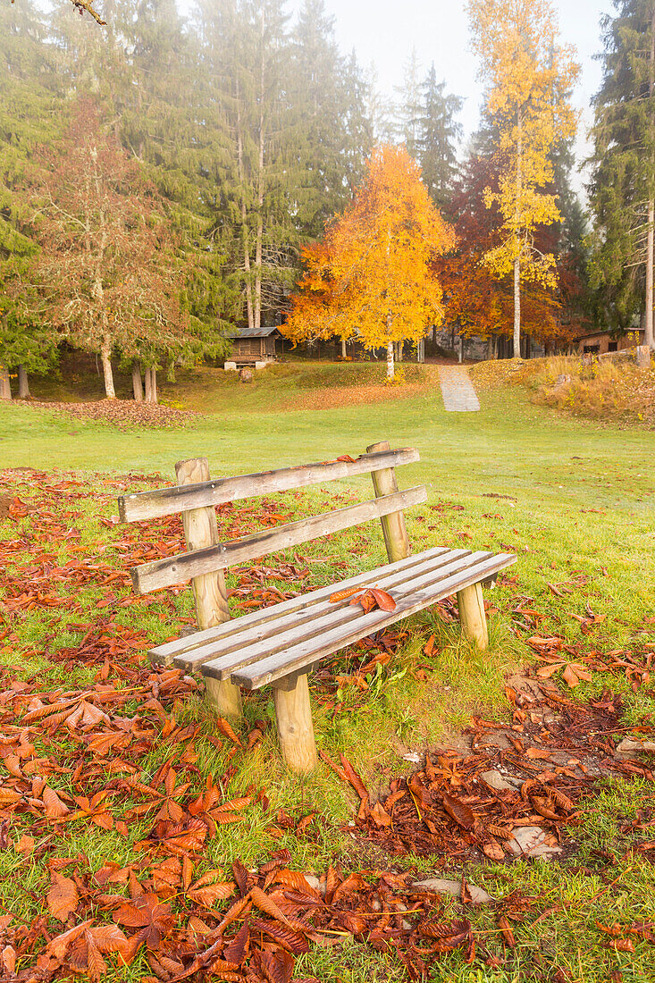 A chair with a leaf during autumn, Flims, Switzerland, Europe