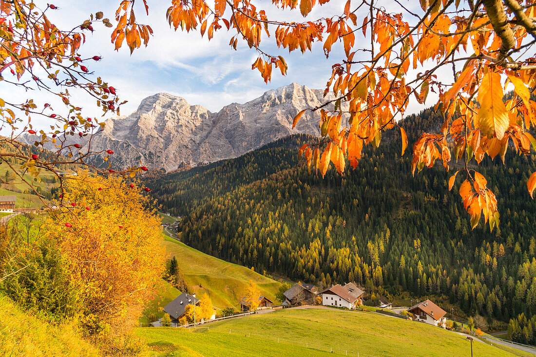 Dolomites landscape in autumn, La villa, Val Badia, Trentino ALto Adige, Italy