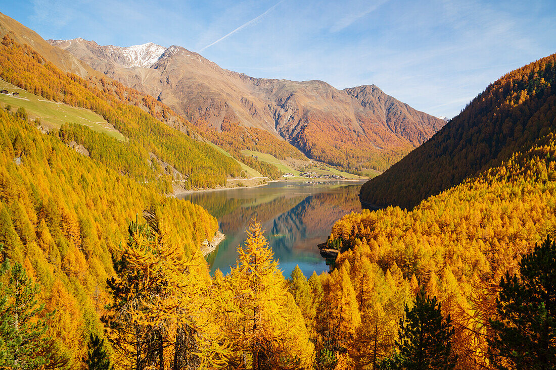 A panoramic view between larches of Verlago lake in autumn, Verlago, Senales valley, , Bolzano, South Tyrol, Italy, Europe