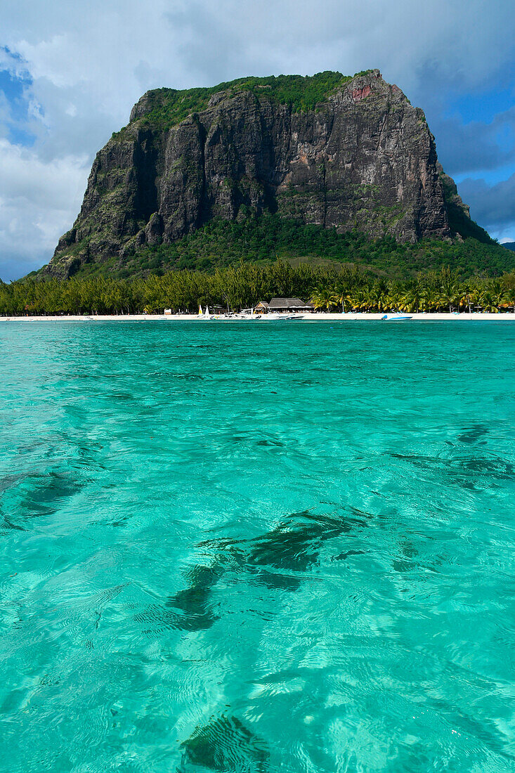 Crystalline sea of a Paradise beach, Le Morne,Mauritius,(Mauritian)