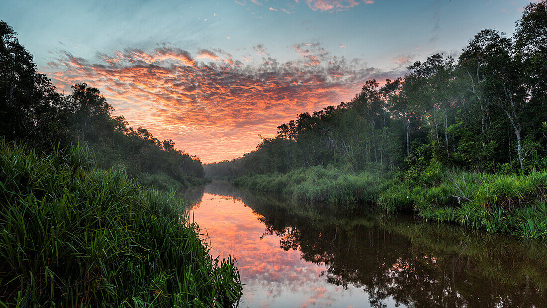 sunrise in tanjung puting national park during a river cruise