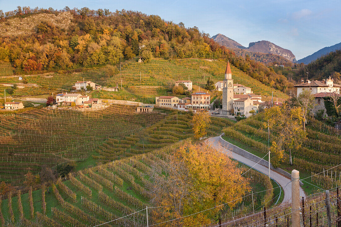 Rolle surrounded by Prosecco vineyards, Cison di Valmarino, Treviso, Veneto, Italy