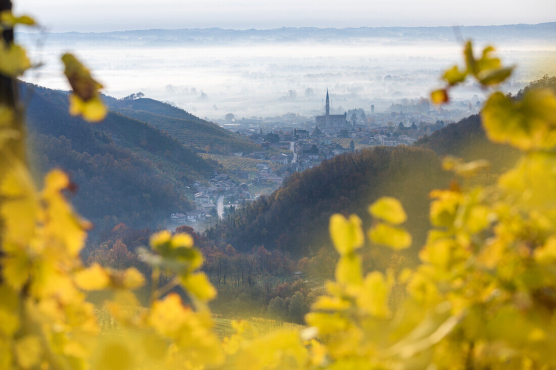 the village of Col San Martino (Farra di Soligo) framed by the yellow leaves of the vineyards, as seen from the road of wine, Valdobbiadene, Treviso, Veneto, Italy