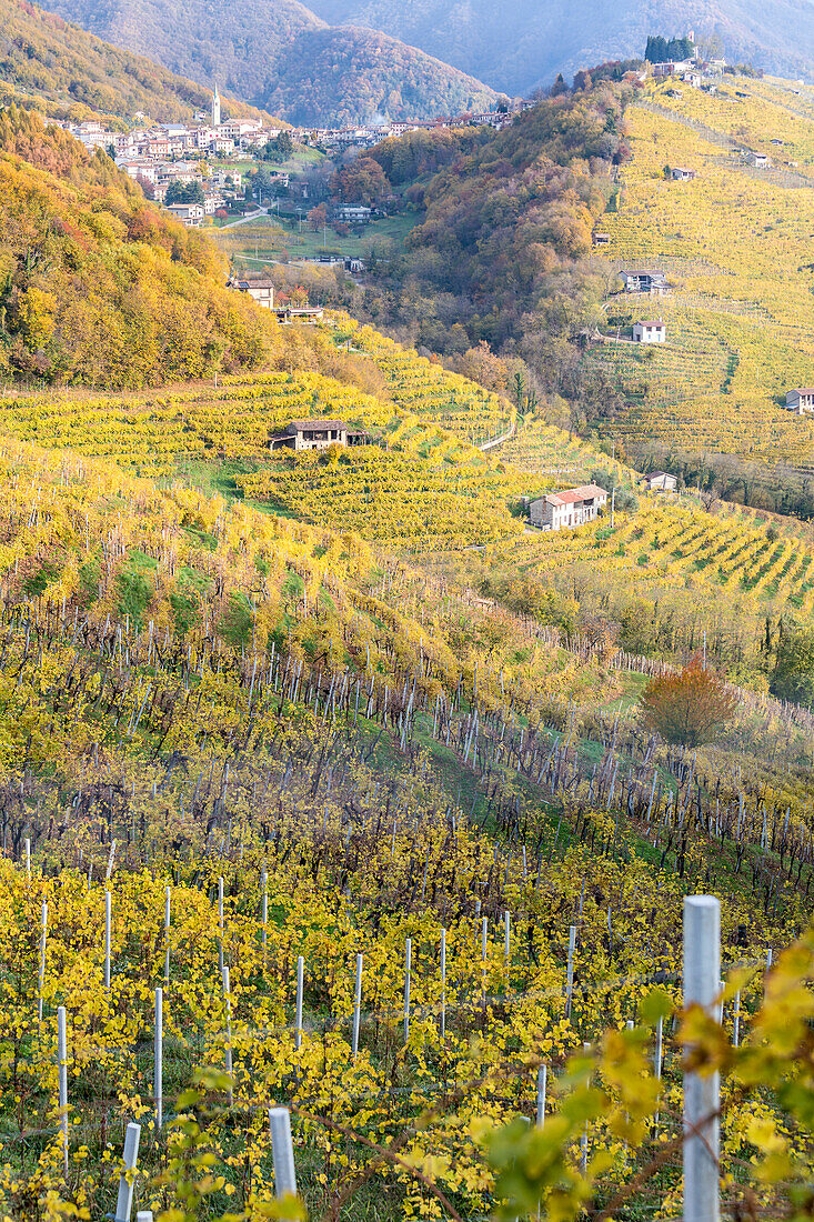 The vineyards of Prosecco wine and the village of Combai, municipality of Miane, Treviso, Veneto Italy