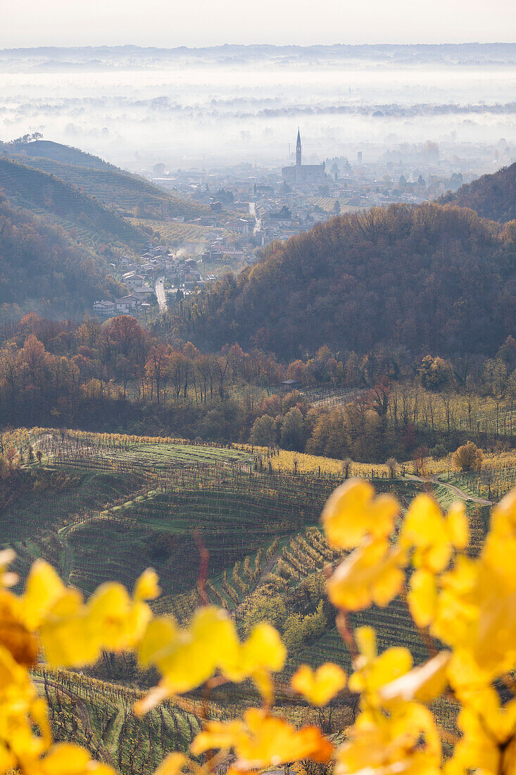 the village of Col San Martino (Farra di Soligo) framed by the yellow leaves of the vineyards, as seen from the road of wine, Valdobbiadene, Treviso, Veneto, Italy