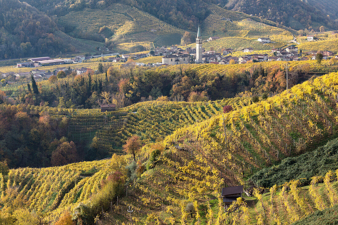 the village of Guia surrounded by the yellow vineyards in autumn, as seen from the road of wine, Valdobbiadene, Treviso, Veneto, Italy
