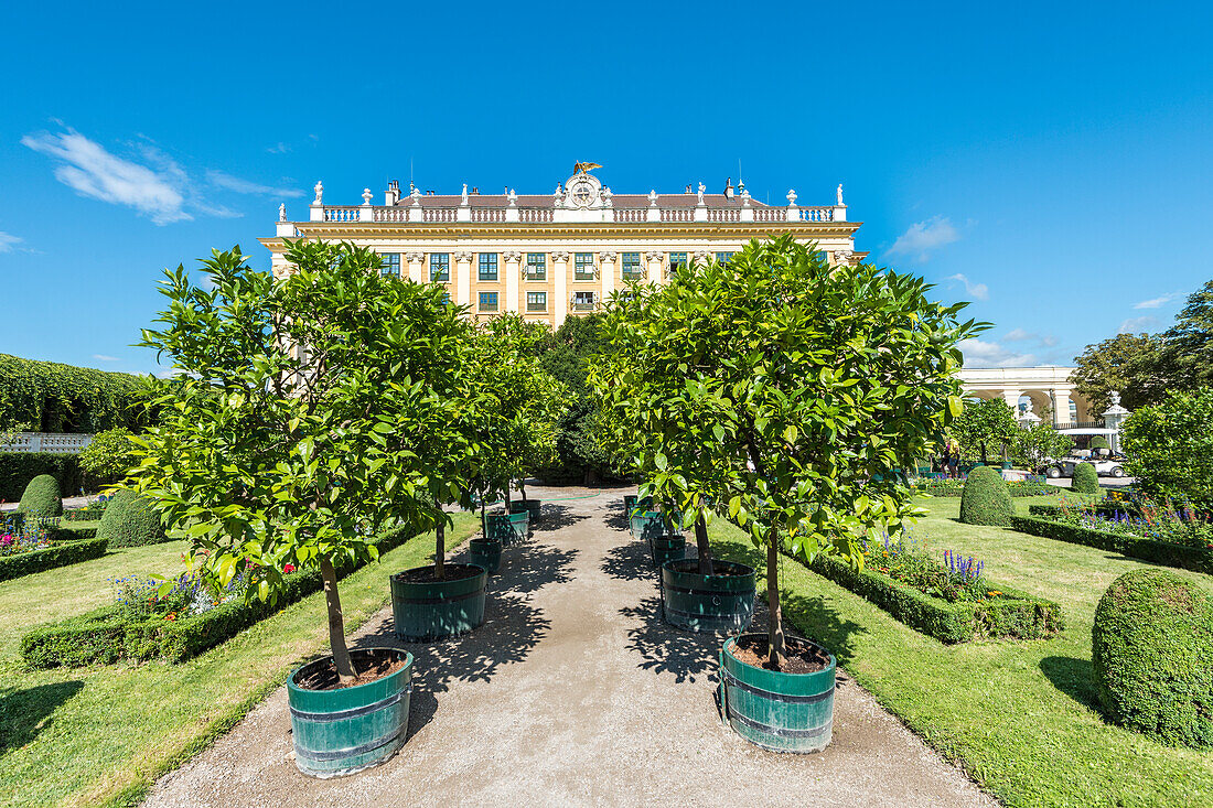 Vienna, Austria, Europe, The Schönbrunn Palace and the Privy Garden