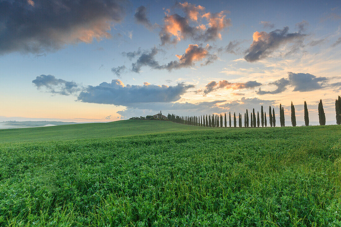 Italy, Tuscany, Orcia valley, sunrise at farmhouse Poggio Covili, Castiglione d'Orcia, provence of Siena