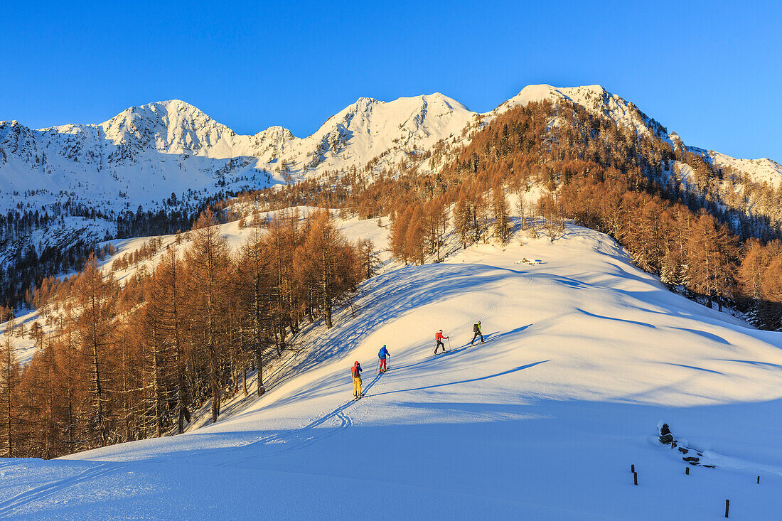 Ski mountaineers on snowy slopes of Monte Olano, Gerola Valley, Sondrio province, Valtellina, Lombardy, Italy