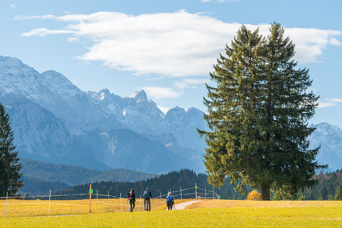 Bike path with Bavarian landscape Europe, Germany, Mittenwald, Krun, Bavaria