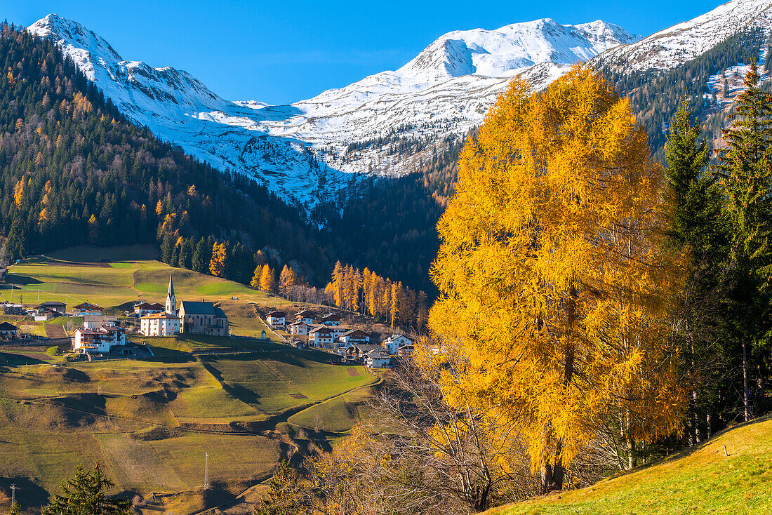 Proves in autumn Europe, Italy, Trentino Alto Adige, Bolzano district, Proves city