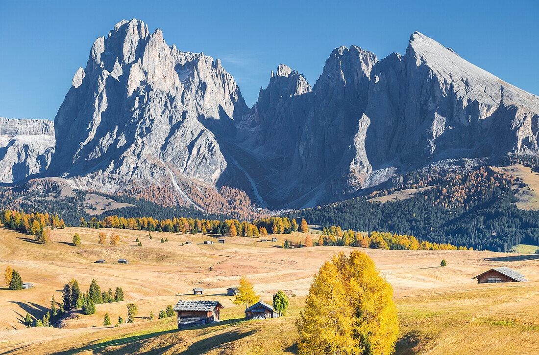 Alpe di Siusi with Mount Sassolungo and Mount Sassopiatto on yhe background, South tyrol, Italy