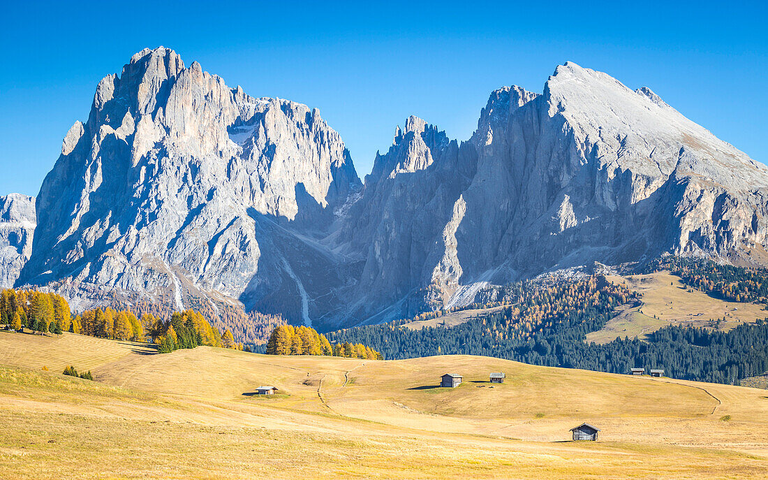 Alpe di Siusi with Mount Sassolungo and Mount Sassopiatto on yhe background, South tyrol, Italy