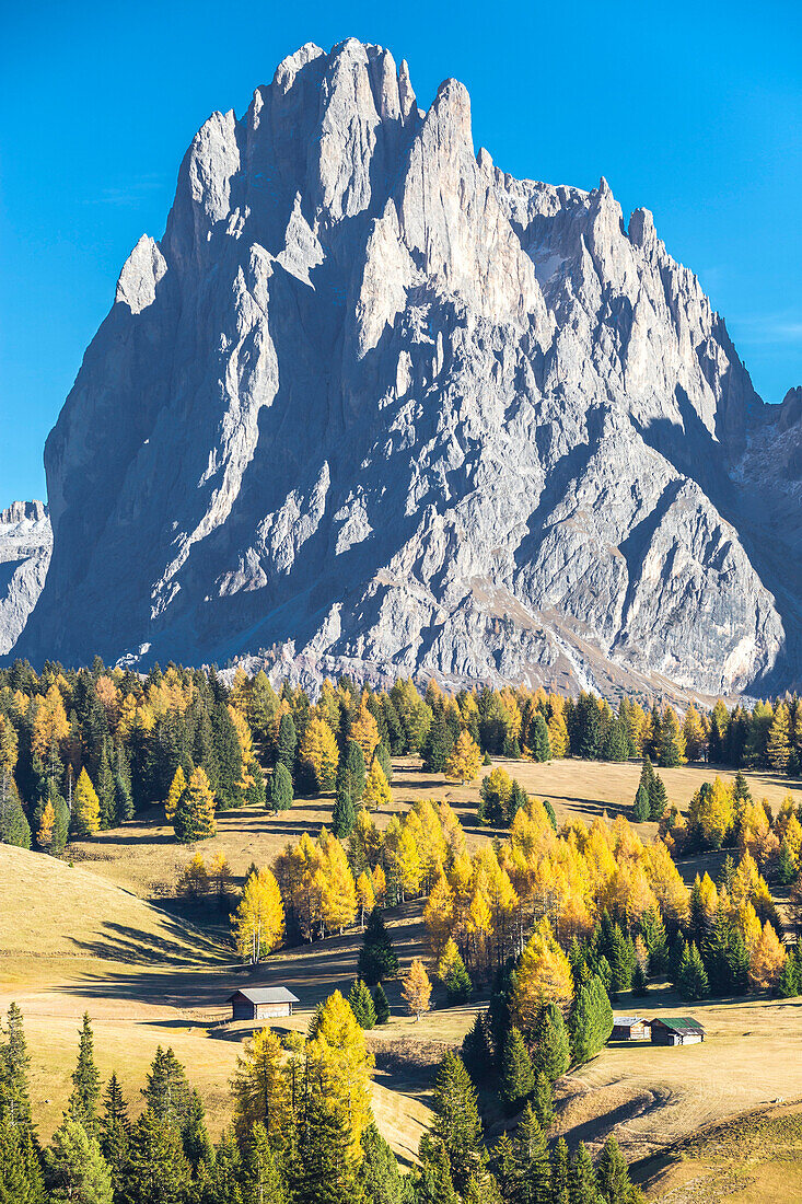 Alpe di Siusi with Mount Sassolungo and Mount Sassopiatto on yhe background, South tyrol, Italy