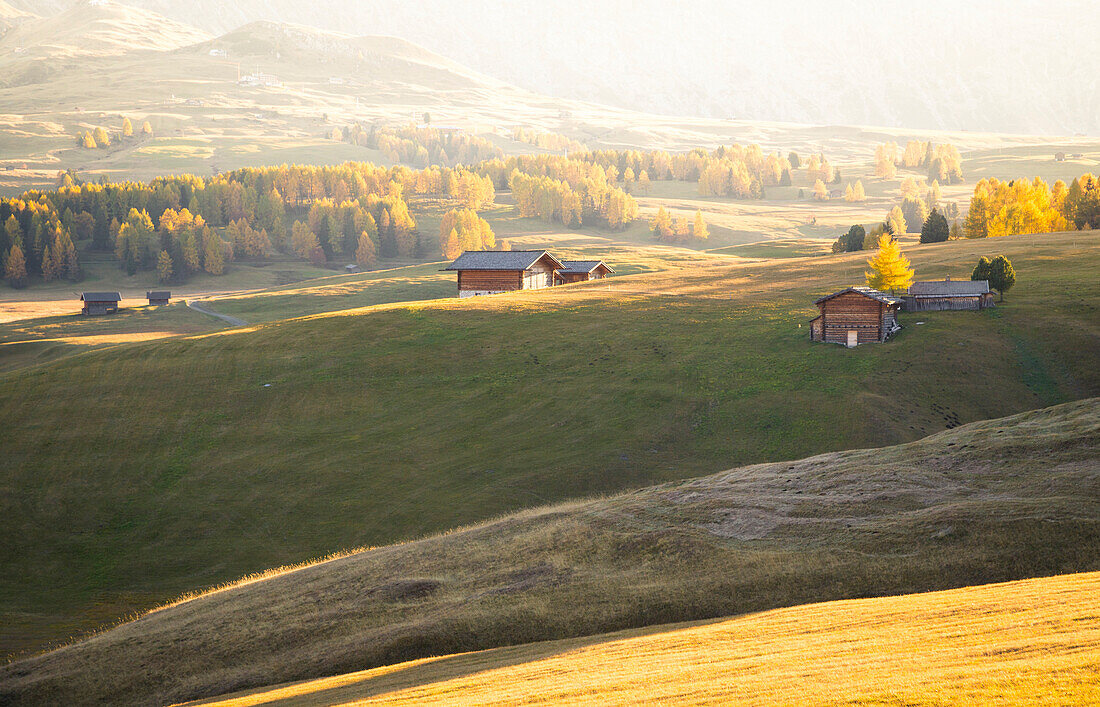 Alpe di Siusi, South Tyrol, Italy