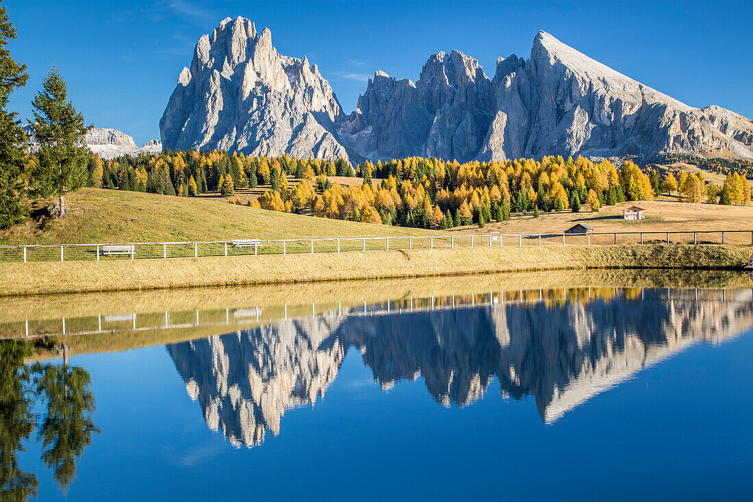 Alpe di Siusi with Mount Sassolungo and Mount Sassopiatto on yhe background, South tyrol, Italy