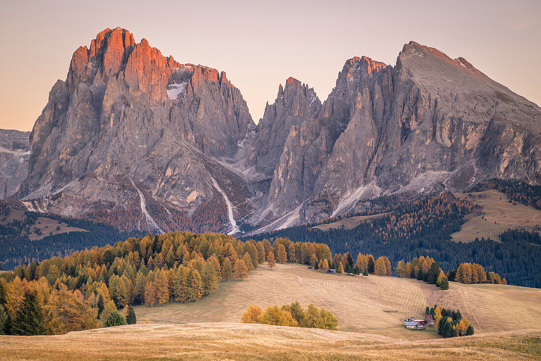 Alpe di Siusi with Mount Sassolungo and Mount Sassopiatto on yhe background, South tyrol, Italy