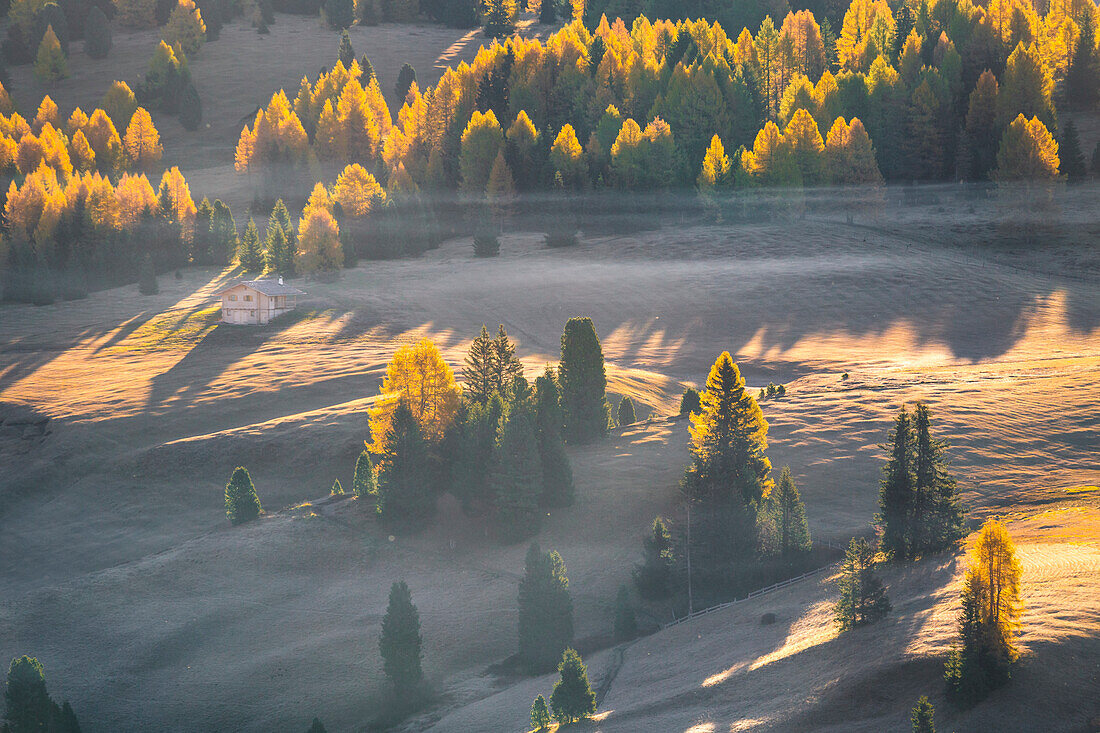 Alpe di Siusi, South Tyrol, Italy