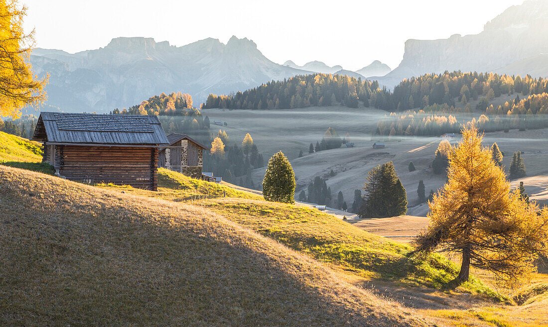 Alpe di Siusi, South Tyrol, Italy